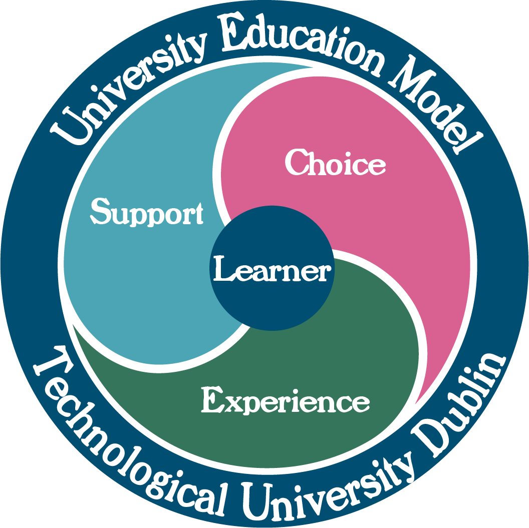University Education Model Collection