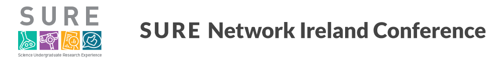 SURE Network Ireland Conference
