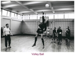 Volley Ball by James Robinson