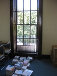 Window in the Library, DIT, Mountjoy Square